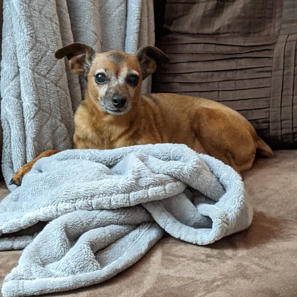 Meet your Posher, M charlene - Picture 1 of 1